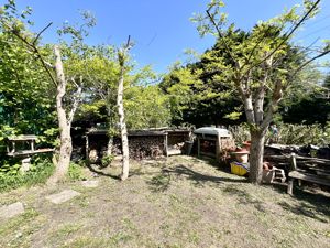 Garden- click for photo gallery